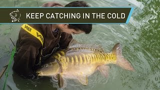 Carp Fishing - Keep Catching In The Cold!