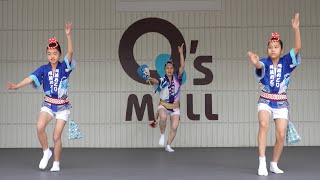 神戸楠公連　～あべのまるごと阿波おどり～　Awaodori　　　[4K 60p APS-C]