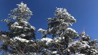 毛無山⛰雪❄