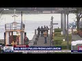 Seattle Fire Department: Body pulled from Lake Union | FOX 13 Seattle