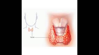 தைராய்டு சுய பரிசோதனை செய்து தெரிந்து கொள்ளுங்கள். self thyroid test. and it's remedies.👍