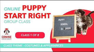 Canine Learning Academy | Puppy Start Right Online Group Class