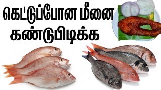 கெட்டு போன மீனை கண்டுபுடிக்க