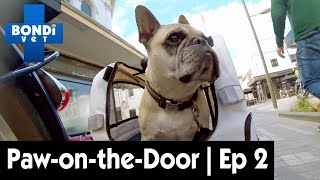 Chapel Street Precinct: Paw-on-the-Door | Ep 2