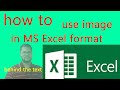 How to Insert Watermark in MS Excel (Image & Text) #adiv360