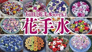 【花手水】行田花手水weekに行って来ました【忍城ライトアップ】