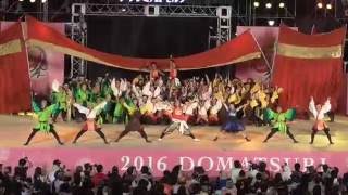 2016 どまつり 2日目 関学 炎流