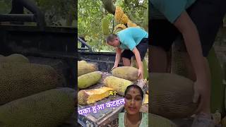 Real hony jackfruits and sweat #natural #beautiful ##jackfruit #shorts #greenscreen