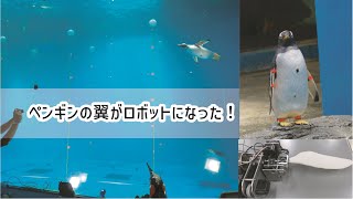 ペンギンの翼がロボットになった！？