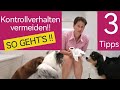 Hundeerziehung: Kontrolliert dich dein Hund ⁉️ 3 TIPPS 🐶👍 Kontrollverhalten erkennen und stoppen‼️