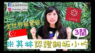 [新加坡日記]全世界最便宜的米其林美食在這裡！ | 大華豬肉麵 | 了凡油雞飯 | A Noodle Story |