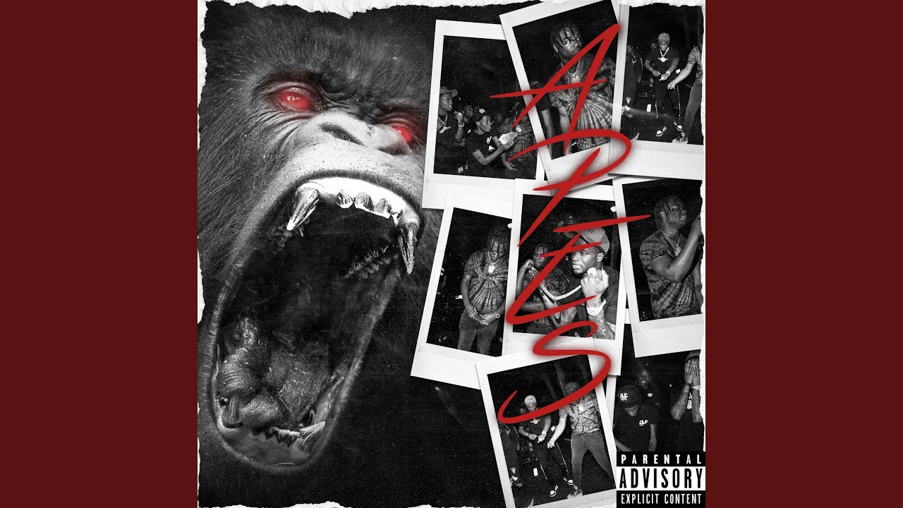 Apes Youtube Music