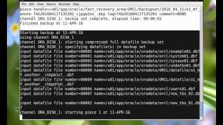 RMAN Backup Commands