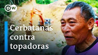 Los últimos nómadas de Borneo | DW Documental