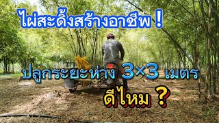 EP.132 แนวทางการปลูกไผ่สะดิ้ง สร้างอาชีพ