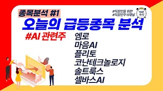 #AI관련주 - 엠로 마음AI 플리토 코난테크놀로지 솔트룩스 셀바스AI