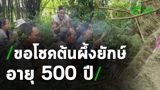 ชาวบ้านขอโชคต้นผึ้งยักษ์อายุ 500 ปี | 15-07-63 | ตะลอนข่าว