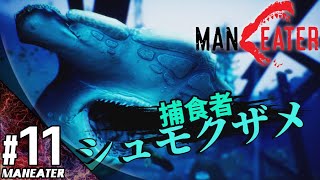 #11【アクション】こたつの『マンイーター(Maneater)』ゲーム実況【人喰いザメになって大暴れ！？】