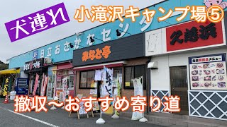 【犬連れキャンプ６-⑤】小滝沢キャンプ場｜渓流独り占めできる｜予約不要・無料キャンプ場（茨城県高萩市）【春キャンプ｜野営地】ー撤収・日立おさかなセンター・守谷SAドッグランー