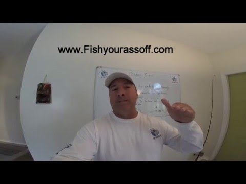 2 Best lures to catch flounder in Florida 2 Best lures to catch flounder in Florida