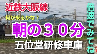 近鉄大阪線　五位堂検修車庫前　今朝の30分　何が来るかな？　近鉄特急　急行準急普通　ひのとり　アーバンライナー　ビスタカー　伊勢志摩ライナー