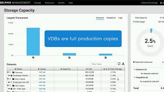 How Delphix Improves Storage Capacity