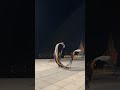 Can you dance the 8 M ribbon dragon as video?