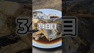 釣った魚だけで生活34日目 #shorts #魚 #釣り #魚釣り #料理 #魚料理