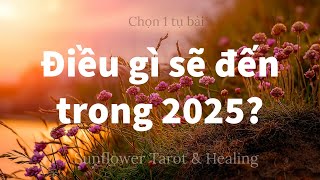 Chọn 1 tụ bài - Điều gì sẽ đến trong 2025?