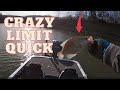 Crappie went Crazy today! LIMIT in the BOX. GARMIN LIVE SCOPE!! MARK TWAIN LAKE