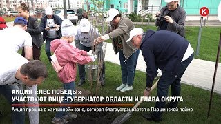 КРТВ. Акция «Лес Победы» - участвуют вице-губернатор области и глава округа