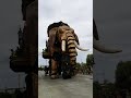 france hydraulic elephant