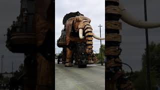 France hydraulic elephant