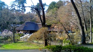 みちのく民俗村ライブ 2024.04.14 16:00