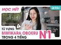 Thuộc ngay 1000 TỪ VỰNG TIẾNG NHẬT MIMIKARA OBOERU N1 NGAY CẢ KHI NGỦ | BẢN ĐẦY ĐỦ NHẤT