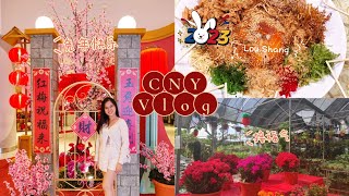 CNY Vlog| Rabbit 🐰 Year 2023| HCNY🧨🎋❤️