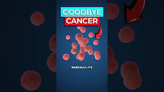 Scientists Eliminate Pancreatic Tumours