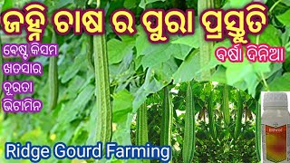 ବର୍ଷାଦିନିଆ ଜହ୍ନି ଚାଷ ର ପ୍ରସ୍ତୁତି// ଜହ୍ନି ଚାଷ ର   ପ୍ରସ୍ତୁତି ଡିଟେଲ୍// Ridge guard framing