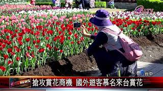 20230131超浪漫鬱金香花海！台中后里花季綻放中