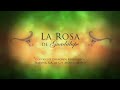 la rosa de guadalupe la ambiciÓn parte 1