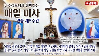 [매일미사] 2023년 2월 8일 연중 제5주간 수요일 미사