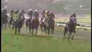 1999 Japan Cup ジャパンカップ 日本盃