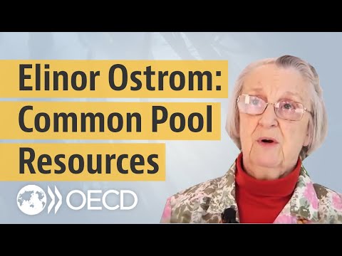What are commons or common pool resources?