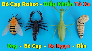 Bò Cạp Robot Điều Khiển Từ Xa, Bọ Ngựa, Ong Mật Mô Hình Như Thật | Mở Hộp TV