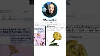 Fix OCR Reading Order Fast with ABBYY FineReader | Pro Tip! #OCR