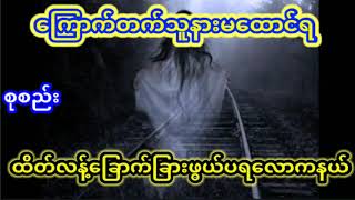 ထိတ်လန့်ခြောက်ခြားဖွယ်ပရလောကနယ်(စုစည်းမှူ)