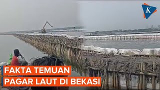 Pagar Misterius di Laut Bekasi: Dibangun 6 Bulan, Terbentang 8 Kilometer