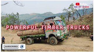 WORLD BEST TIMBER TRUCKS FULLY LOADED OFF-ROADING 4x4 ONLY | SALUTE TO DRIVERS 👏👏👏