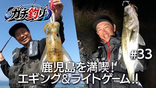 鹿児島を満喫！エギング＆ライトゲーム！！