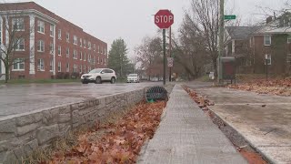 Columbus spent $140 million on rain gardens to address stormwater overflows